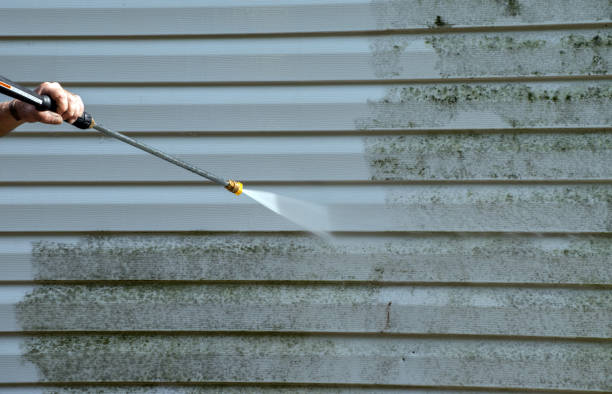 Best Best Pressure Washing Companies  in Brushy, OK